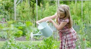 PICTURES Wednesday Weight blog series - A healthy life - Organic gardening photos.jpg